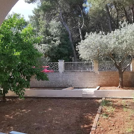 Apartment Pineta With Terrace & Park Wood View 普拉 外观 照片