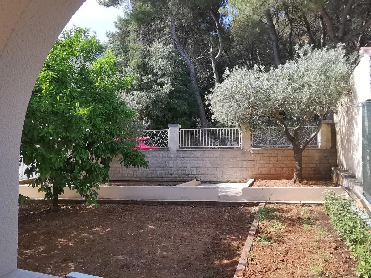 Apartment Pineta With Terrace & Park Wood View 普拉 外观 照片